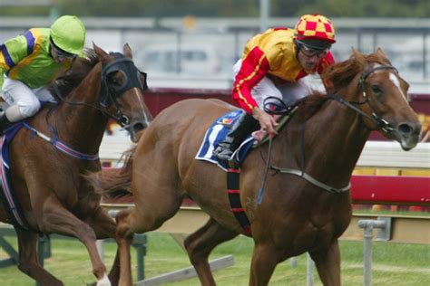kewney stakes